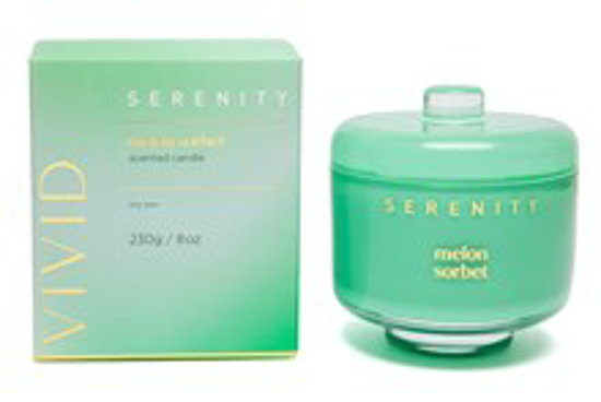 Picture of Serenity Vivid 230g Candle - Melon Sorbet