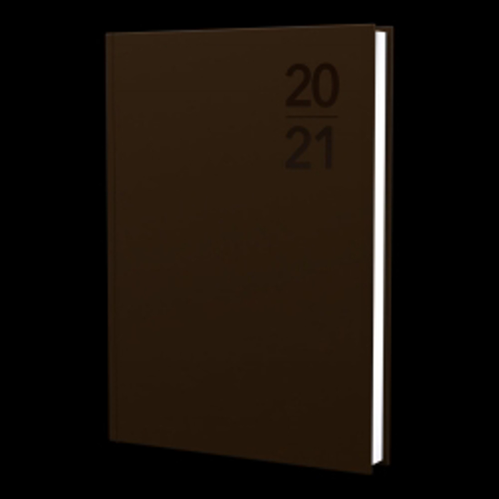 Picture of DIARY 2021 DEBDEN A5 SILHOUETTE DTP PU COPPER